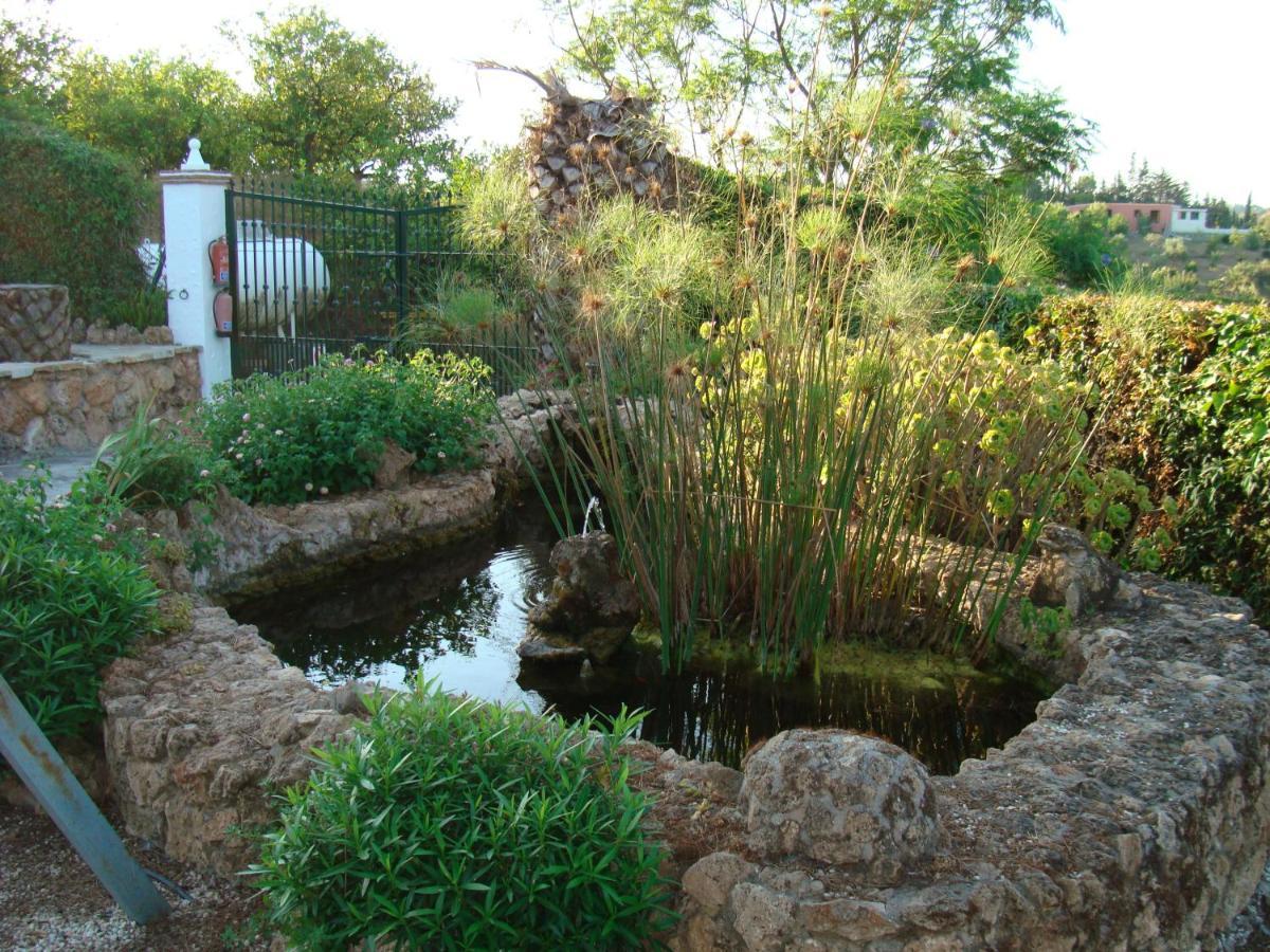 Tu Villa Rural Cortijo Los Cantos 7 Dormitorios Piscina Privada Alhaurin el Grande Exterior photo